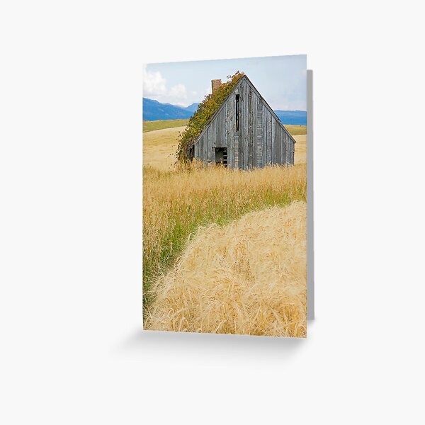 Broke Down Beauty, a.k.a. the Butt of the Barn Greeting Card