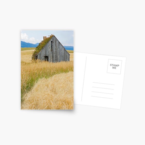 Broke Down Beauty, a.k.a. the Butt of the Barn Postcard