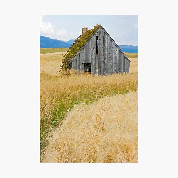 Broke Down Beauty, a.k.a. the Butt of the Barn Photographic Print