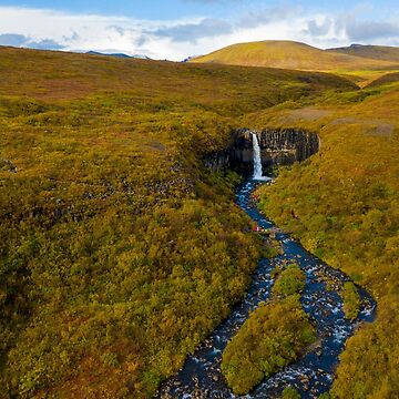 Artwork thumbnail, Svartifoss Waterfall Iceland by Adrian Alford Photography