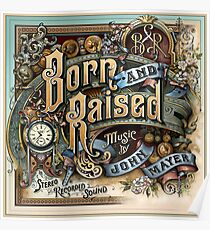john mayer born raised tour 2018 doso Poster