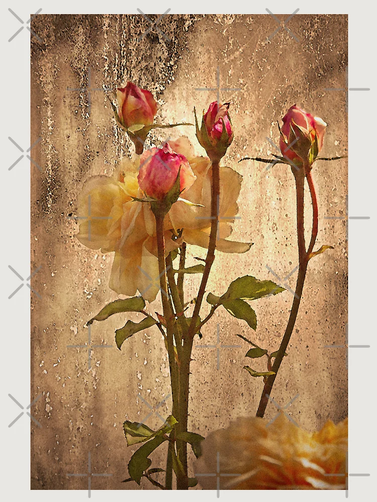Thumbnail 6 of 6, Premium Oversized Sweatshirt, Window Roses designed and sold by CarolM.