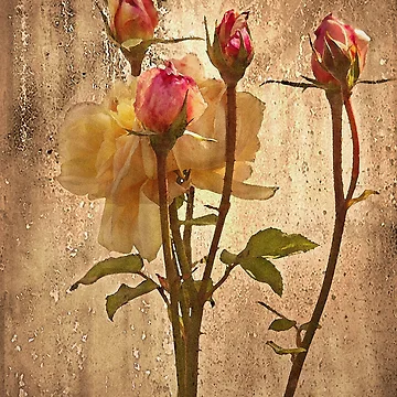 Artwork thumbnail, Window Roses by CarolM