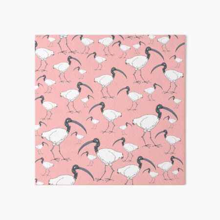a binfull of ibises Art Board Print