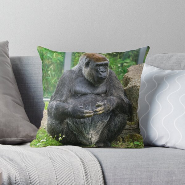 CMFUN Black Ape Young Silverback Gorilla in Front of White Monkey Animal  Arm Baby Pillowcase Cushion Cover 16x16 inch 