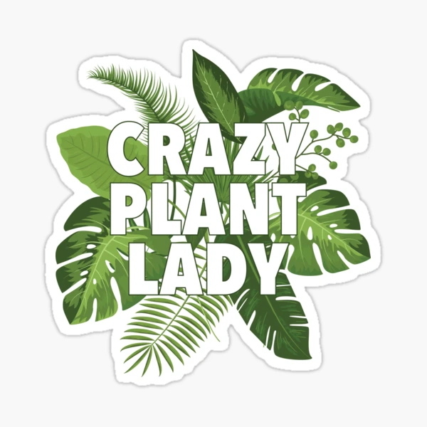 Plant Sticker Set, Crazy Plant Lady Gift, Cactus Sticker, Plant Person  Sticker, Monstera Sticker, Hand Drawn Stickers, Water Bottle Decal 