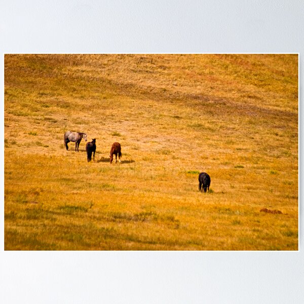 Item preview, Heart of Montana 3 designed and sold by Bryan Spellman.