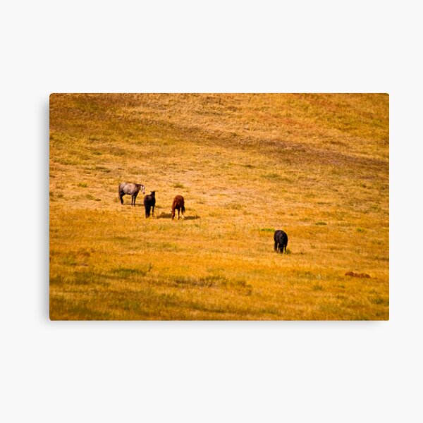 Item preview, Heart of Montana 3 designed and sold by Bryan Spellman.
