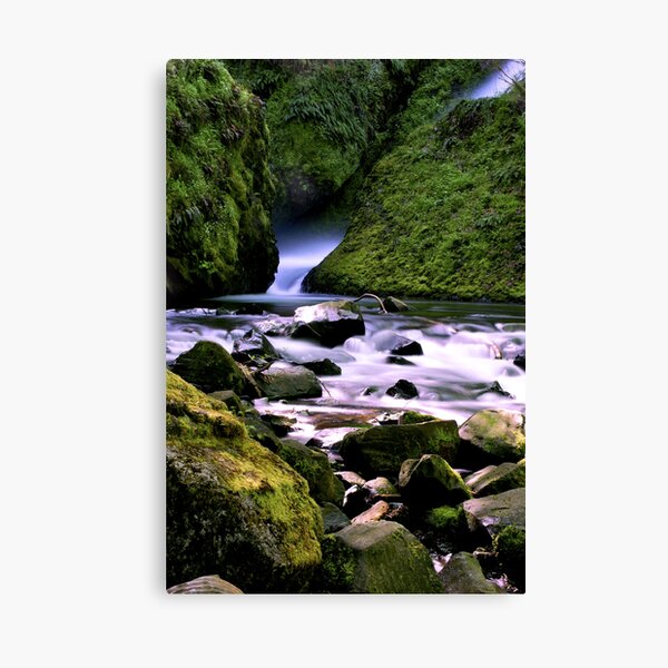 Serenity Canvas Print