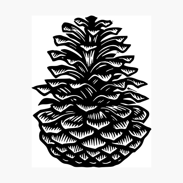 Item preview, Pine cone designed and sold by Rawpixel.