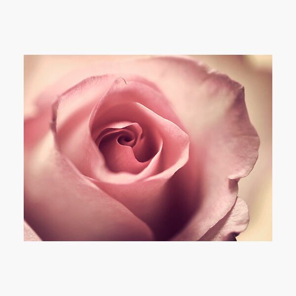 the pretty Photographic Print