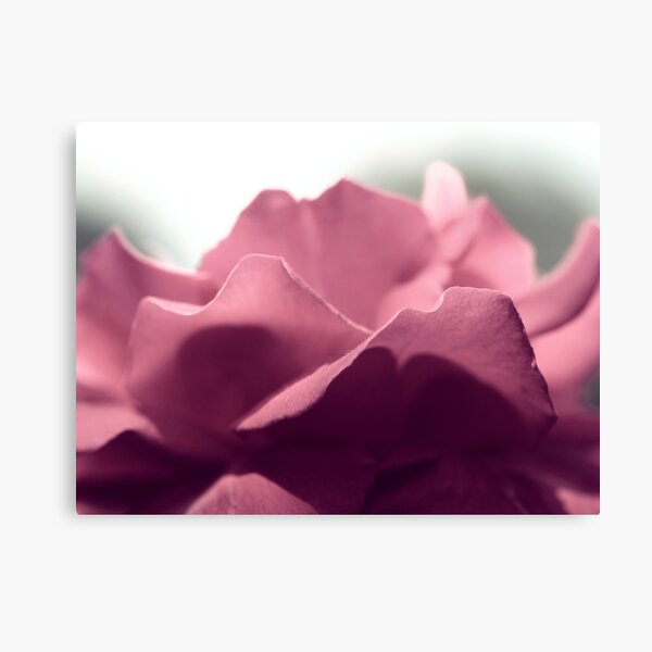 float in our mind Canvas Print