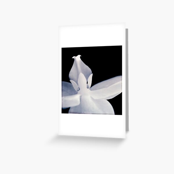 alone Greeting Card