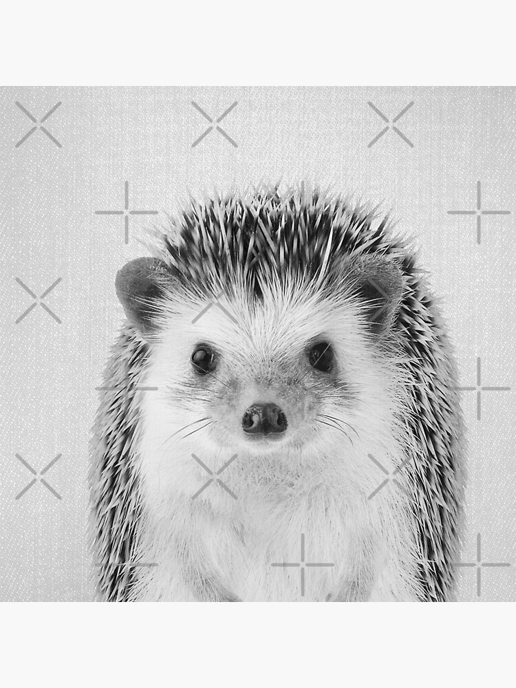 Hedgehog - Black & White by galdesign