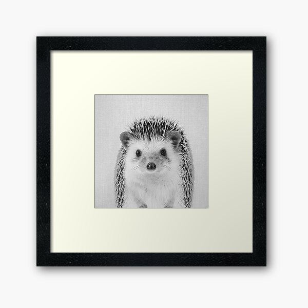 Vista previa del artículo con la obra «Hedgehog - Blanco y negro», diseñado y vendido por galdesign.