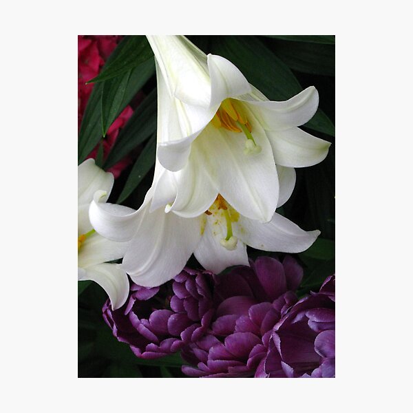 March 2010 Photographic Print