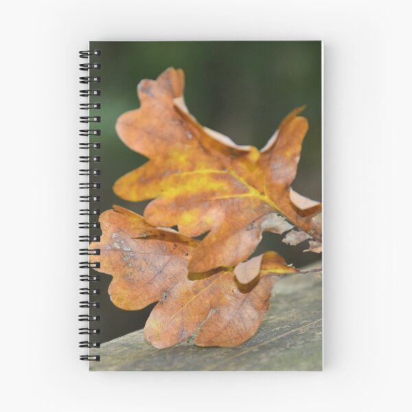 Item preview, Autumn designed and sold by Bente Agerup.