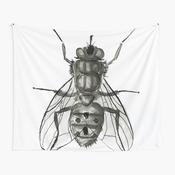 Die Fliege Wandbehang
