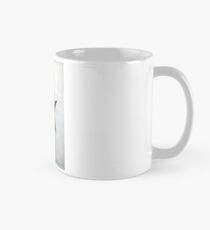 American star Mug