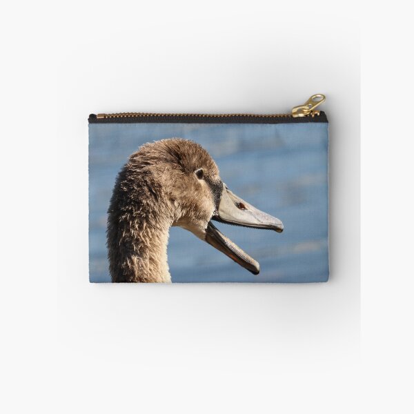 Item preview, Cygnet que bosteza designed and sold by GreyFeatherPhot.