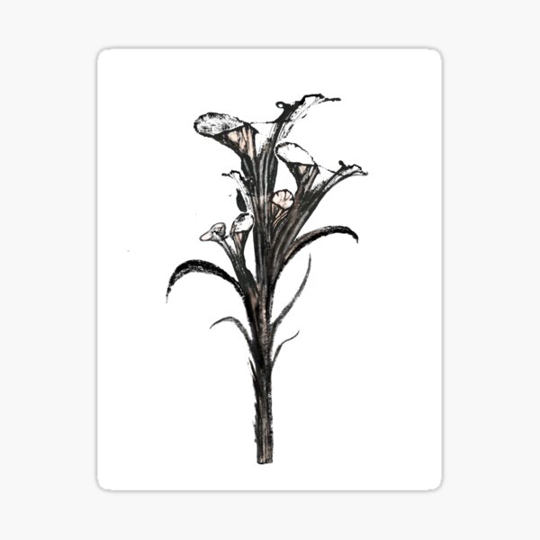 Black Orchid Sticker