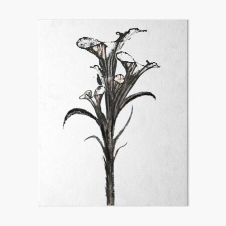 Black Orchid Art Board Print