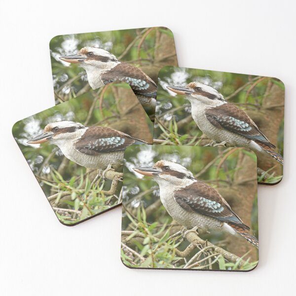 Item preview, Kookaburra designed and sold by quentinjlang.