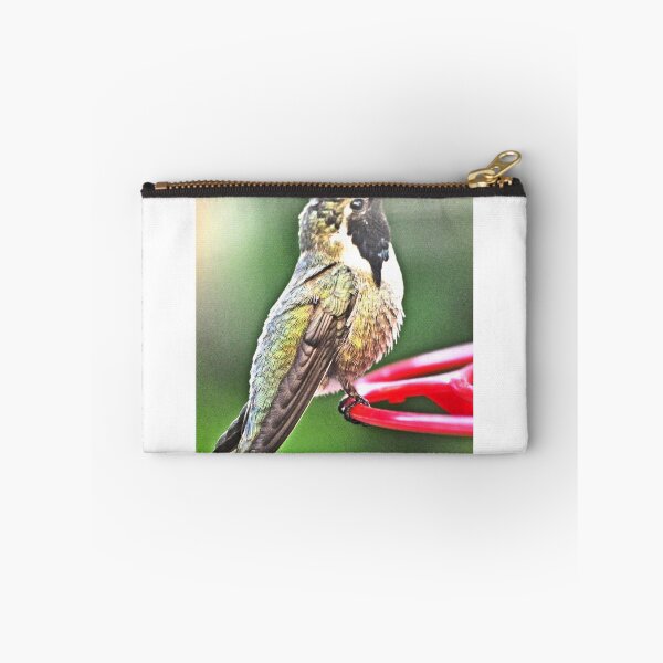 Item preview, MALE COSTA'S WHITE EARED HUMMINGBIRD ON PERCH designed and sold by JAYMILO.