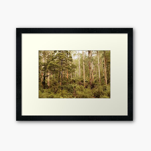 Item preview, Great Otway National Park designed and sold by imaginethis.