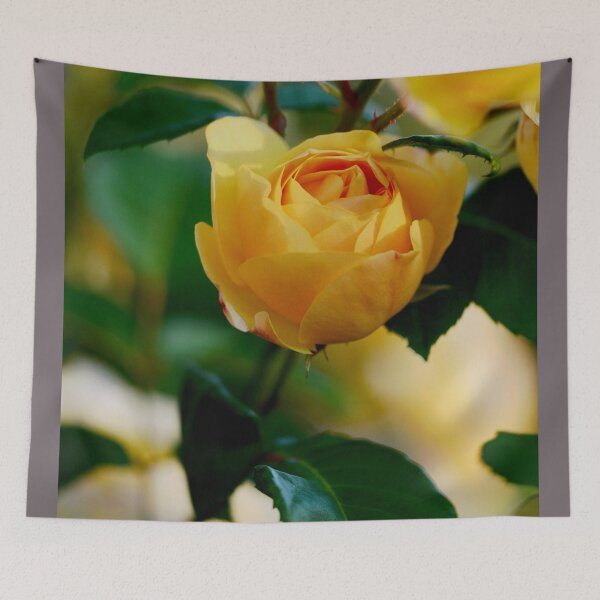 Item preview, Beautiful David Austin Rosebud designed and sold by imaginethis.