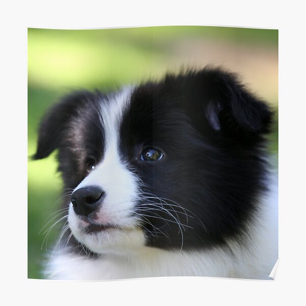 New Baby Trinitee Poster