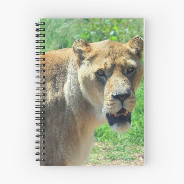 Item preview, Smile for the Camera designed and sold by Vicki Spindler (VHS Photography).