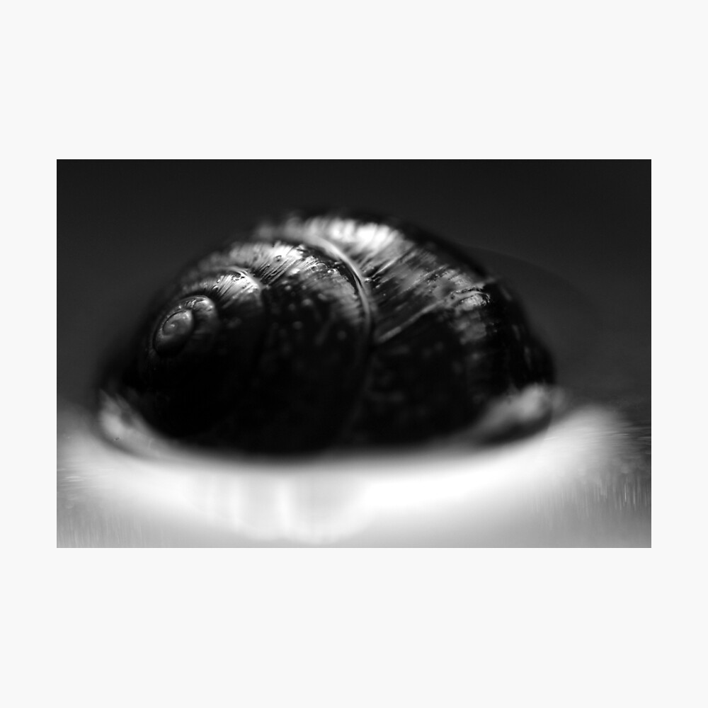 Nature #1 Photographic Print
