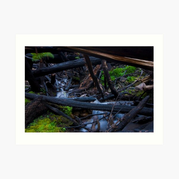 Can't Be Dammed Art Print
