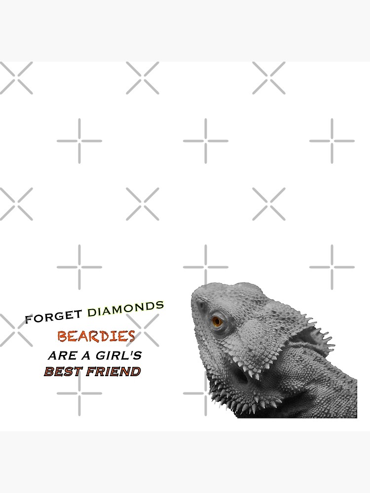 Forget Diamonds - Beardies Are A Girls Best Friend by snibbo71