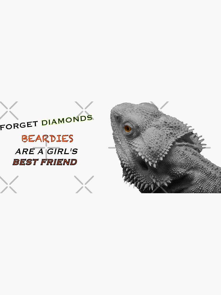 Forget Diamonds - Beardies Are A Girls Best Friend by snibbo71