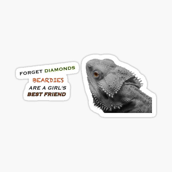 Forget Diamonds - Beardies Are A Girls Best Friend Sticker