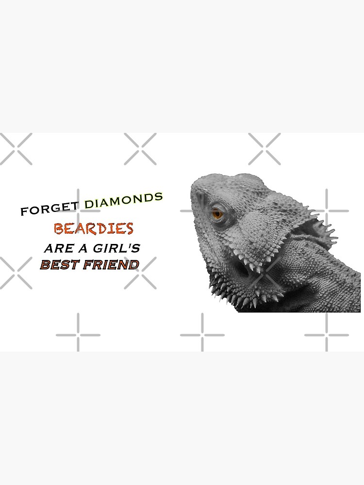 Forget Diamonds - Beardies Are A Girls Best Friend by snibbo71