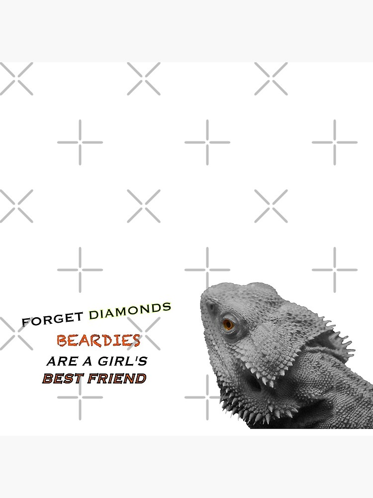 Forget Diamonds - Beardies Are A Girls Best Friend by snibbo71