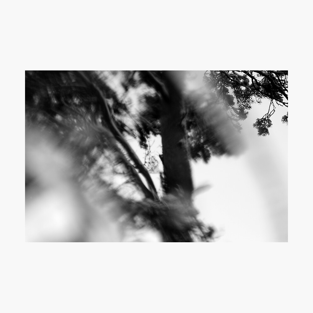 Nature #6 Photographic Print