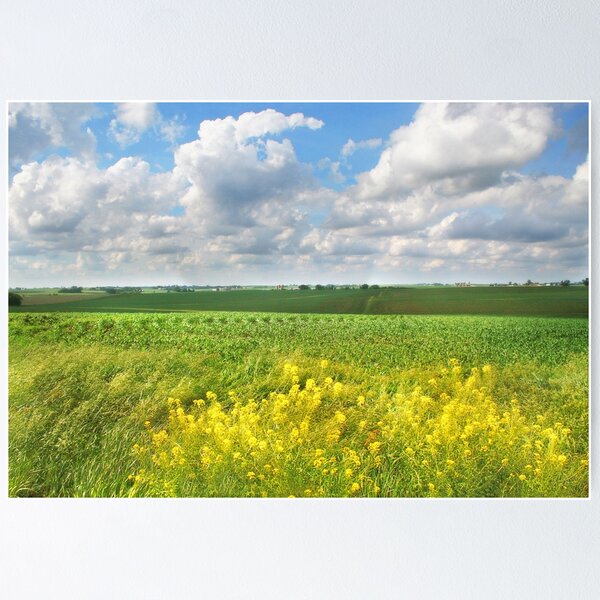 Item preview, Wild Mustard designed and sold by Claude Johnson.