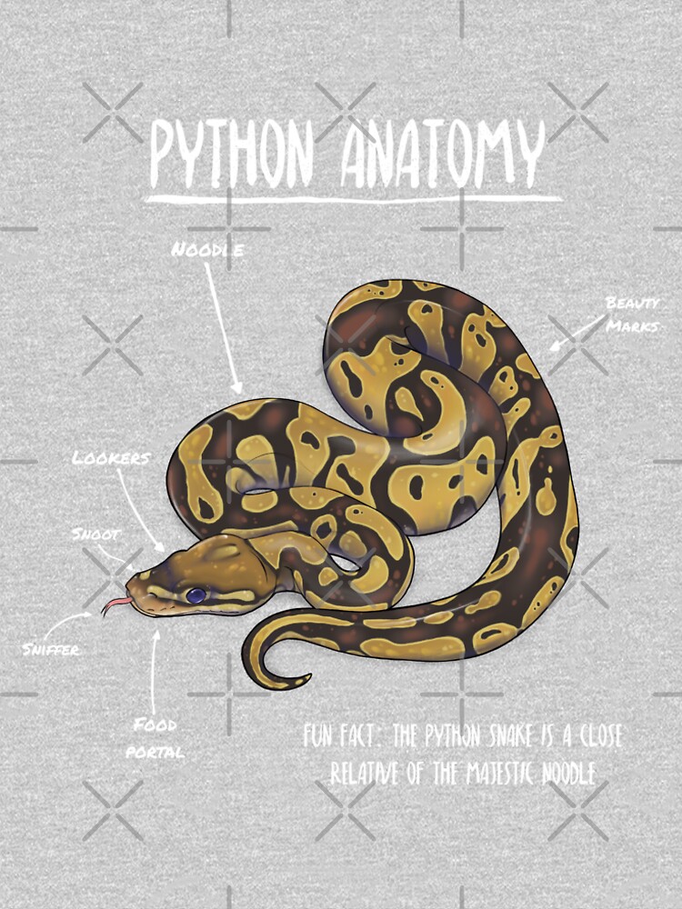 Python Anatomy T Shirt By Animalartist Redbubble