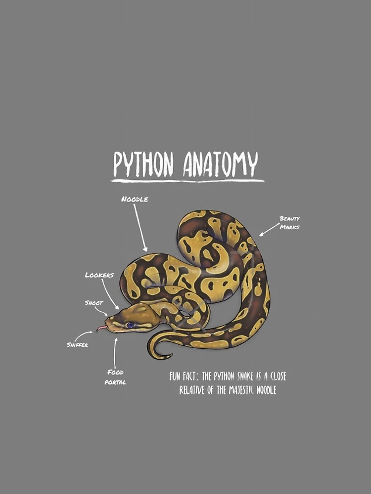 Thumbnail 4 of 4, iPhone Case, Python anatomy designed and sold by Art by RK (prev. AnimalArtist).