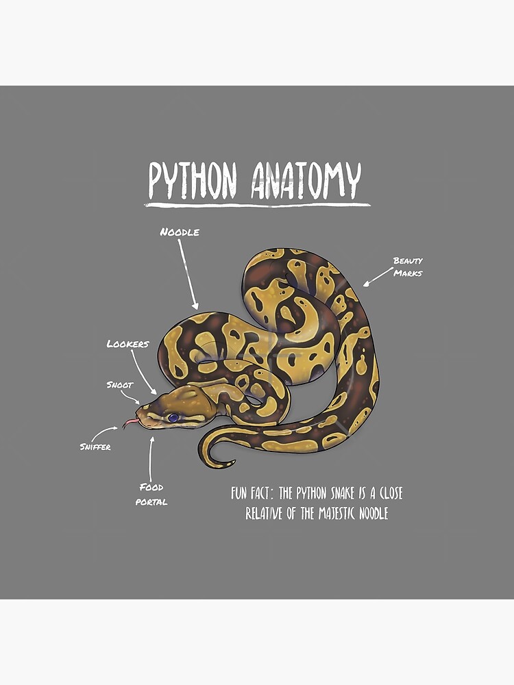 Python Anatomy Throw Pillow For Sale By Animalartist Redbubble