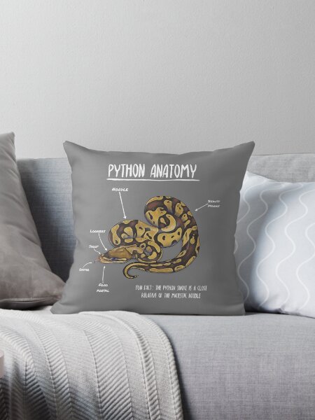 Item preview, Python anatomy designed and sold by AnimalArtist.
