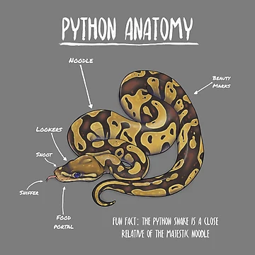 Artwork thumbnail, Python anatomy by Art by RK (prev. AnimalArtist)