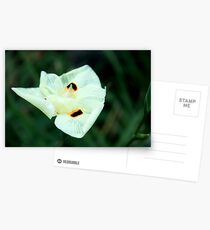 Unseen Breeze Postcards