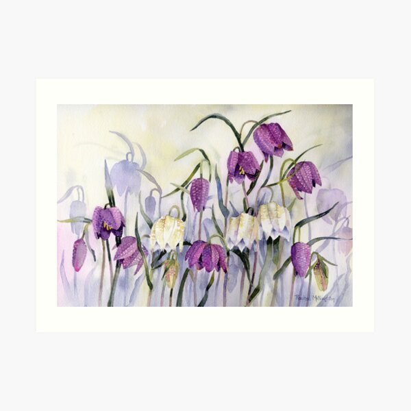 Snakeshead Fritillary Art Print