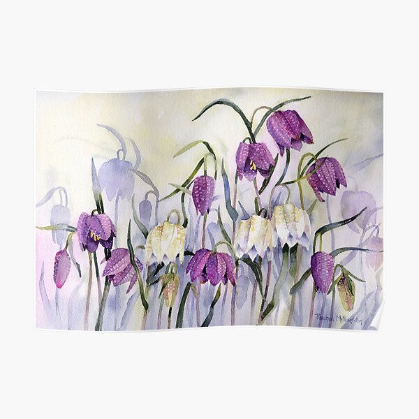 Snakeshead Fritillary Poster