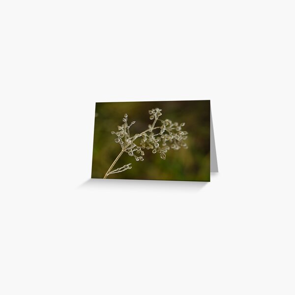 Crystal elegance Greeting Card
